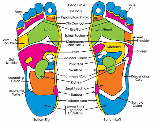 Reflex_foot-chart