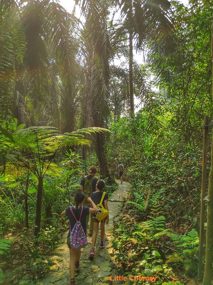 Taman Tugu Forest Trail  Little Chumsyu0027s Blog